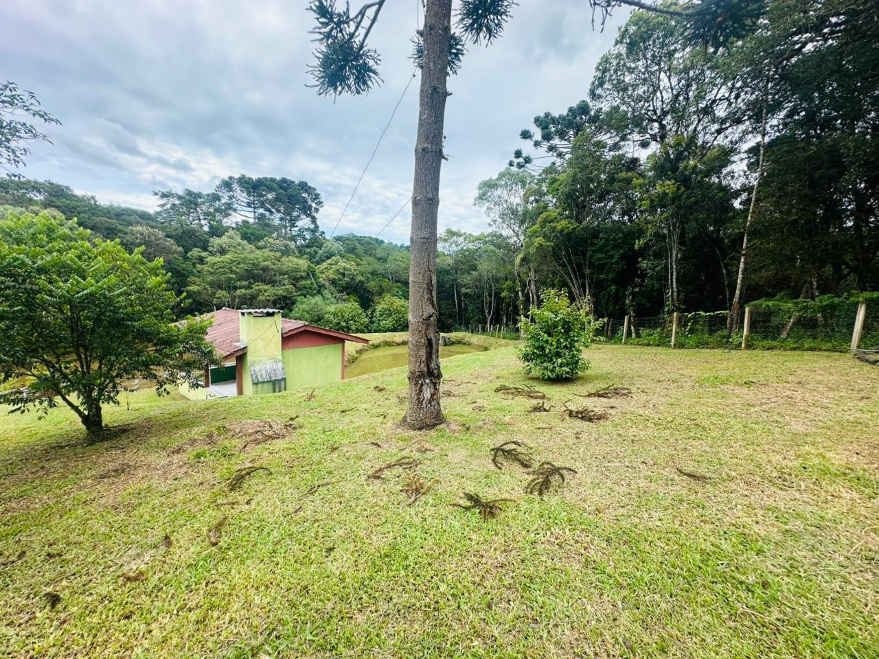 Fazenda à venda com 3 quartos, 8000m² - Foto 43