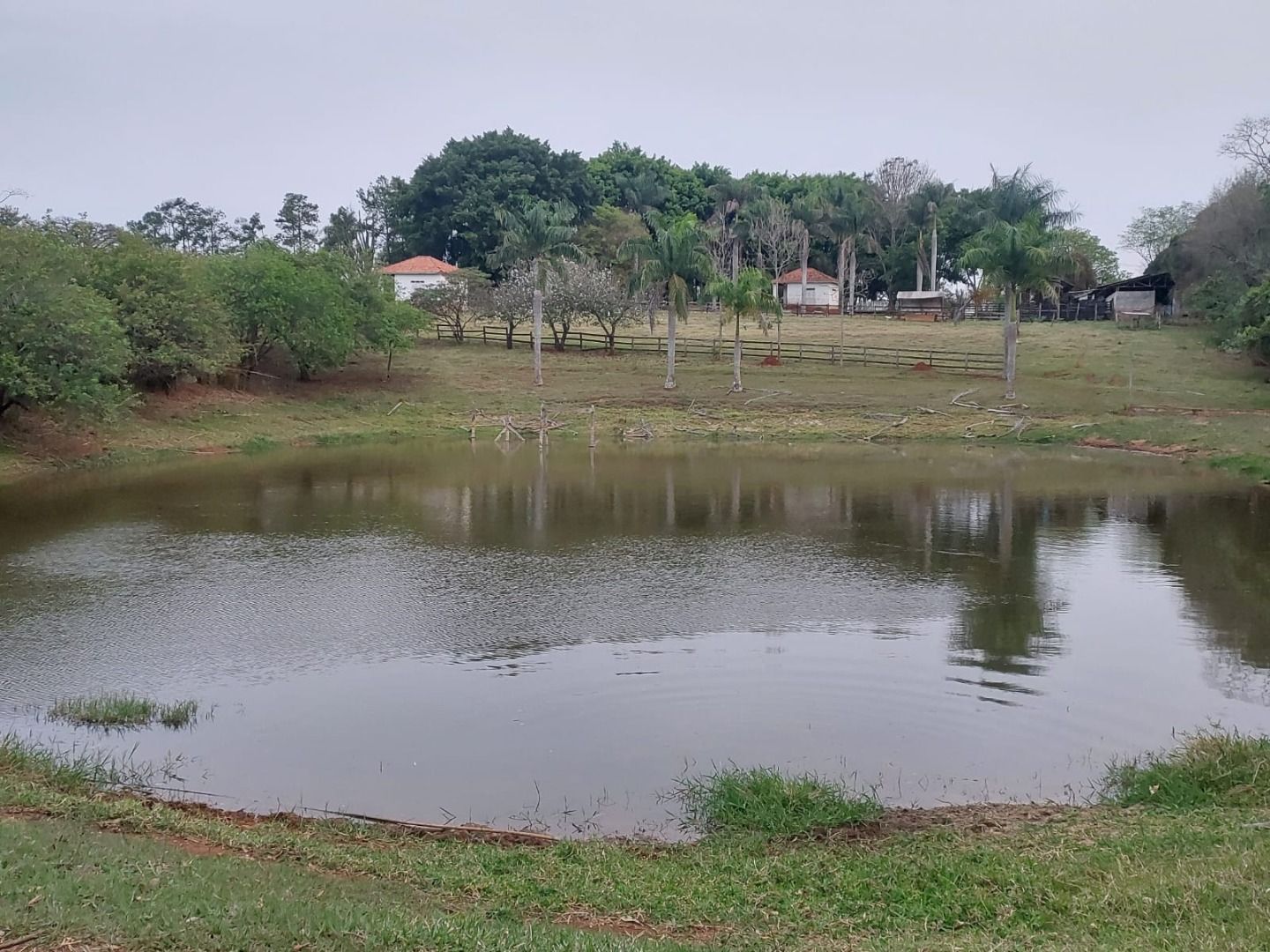 Haras e Área Rural Padrão à venda com 3 quartos, 96800M2 - Foto 30