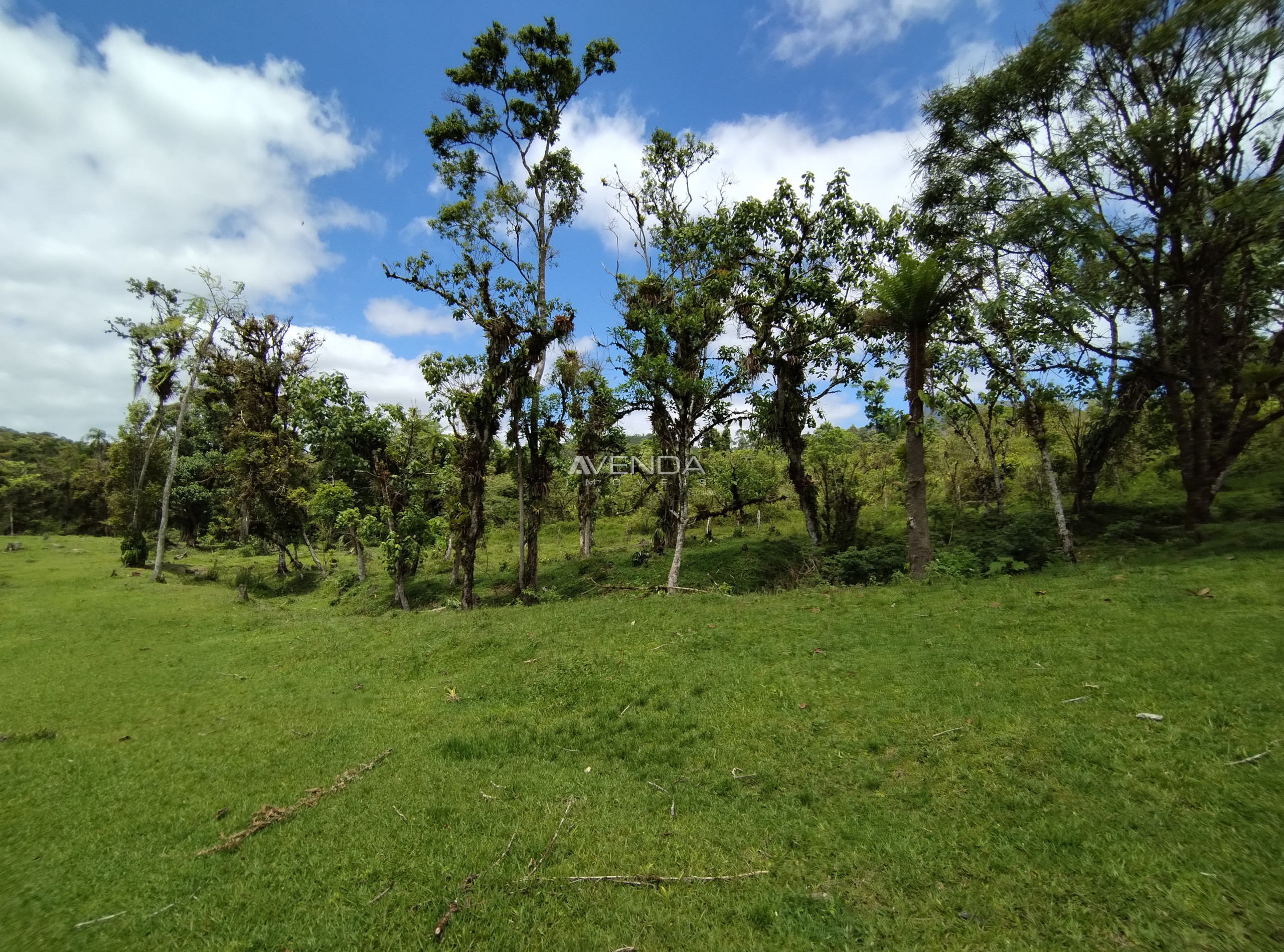 Fazenda à venda com 6 quartos, 208036m² - Foto 15