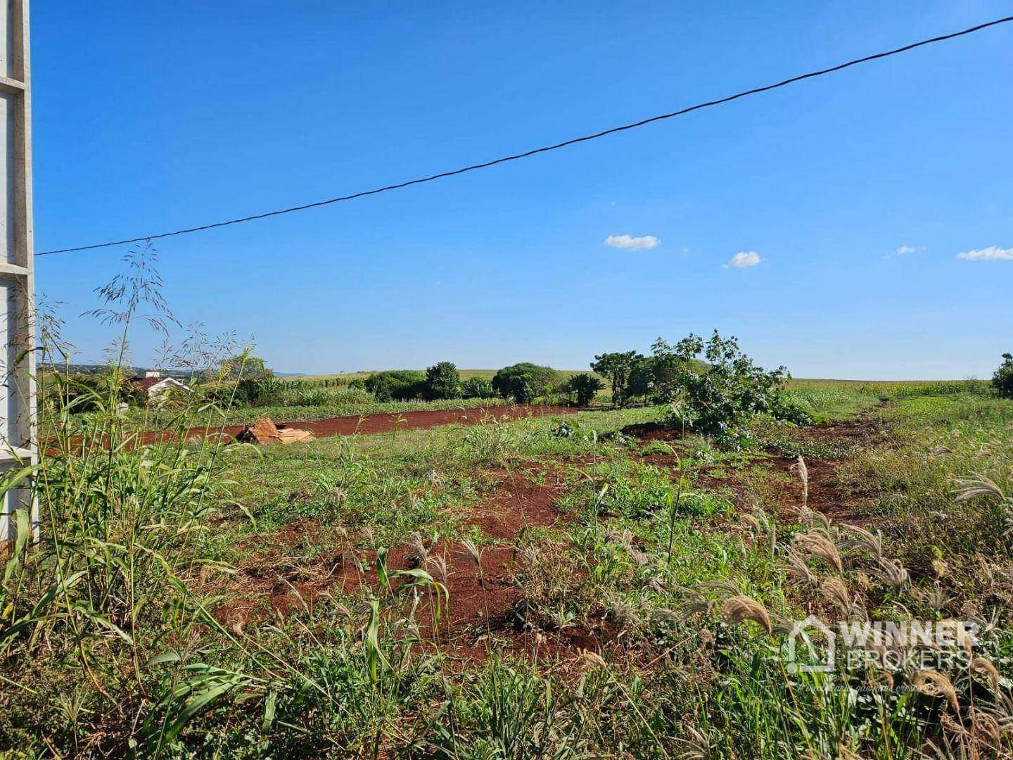 Chácara à venda com 1 quarto, 2500M2 - Foto 2