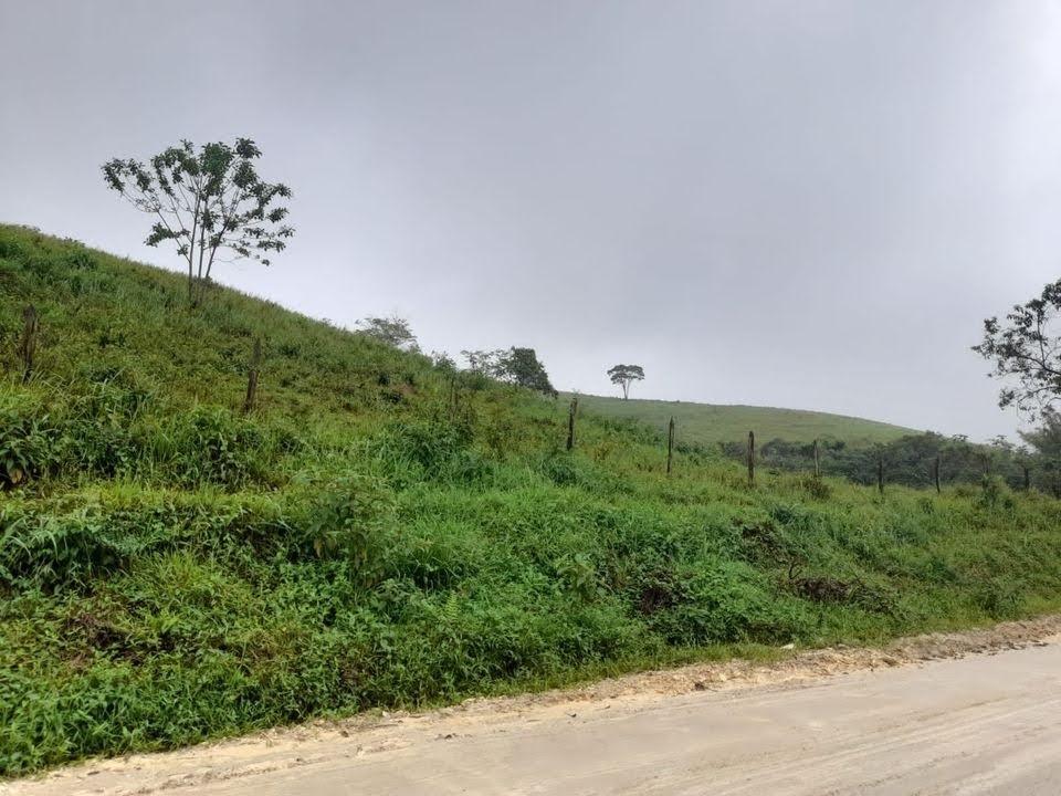 Fazenda à venda com 2 quartos, 17m² - Foto 19