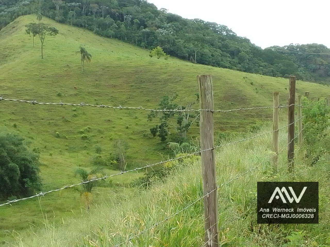 Chácara à venda com 1 quarto, 150000M2 - Foto 6