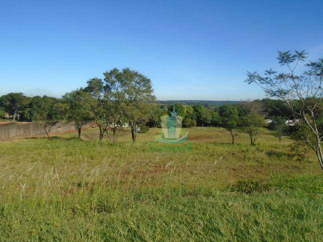 Terreno, 2 hectares - Foto 4