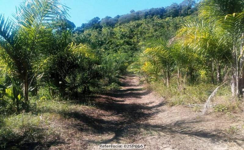 Fazenda à venda com 4 quartos, 120000m² - Foto 12