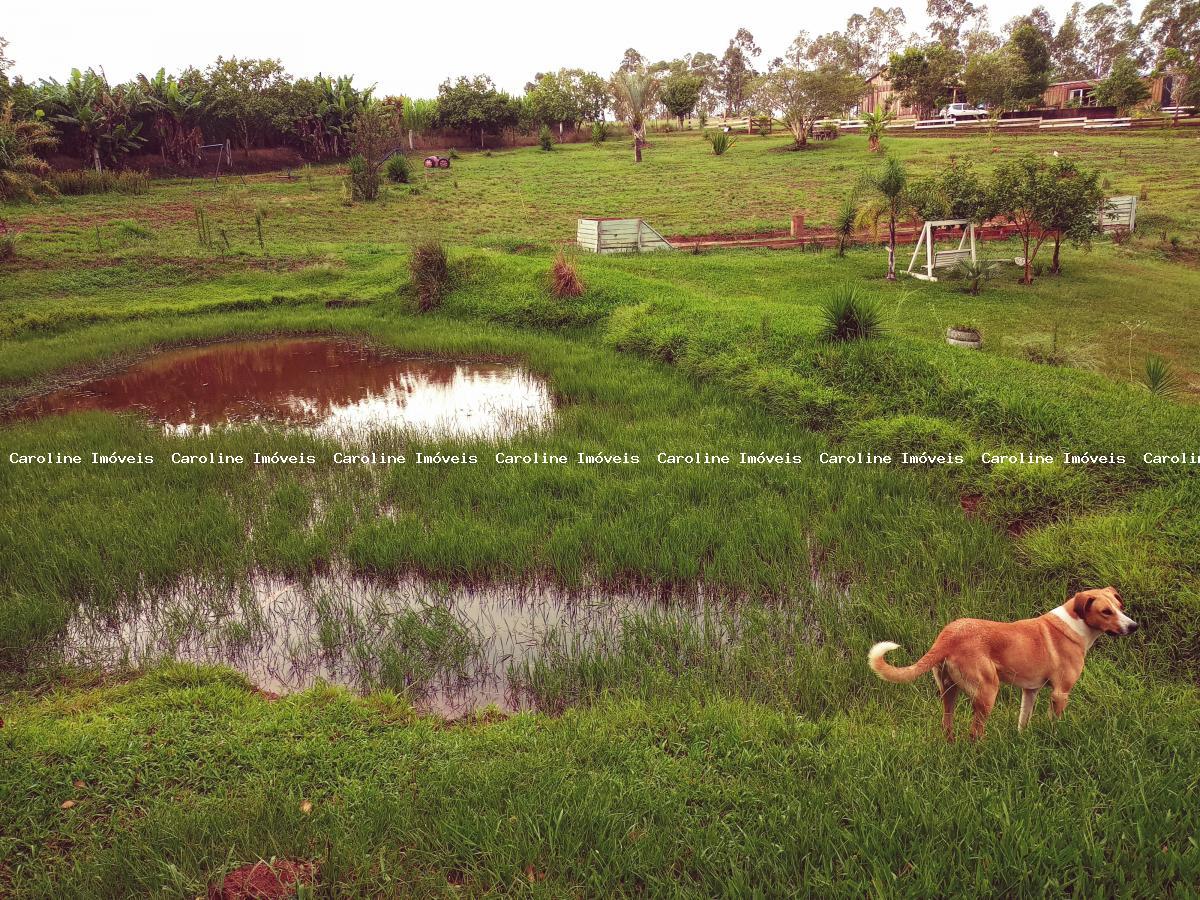 Fazenda à venda com 1 quarto, 15000m² - Foto 36