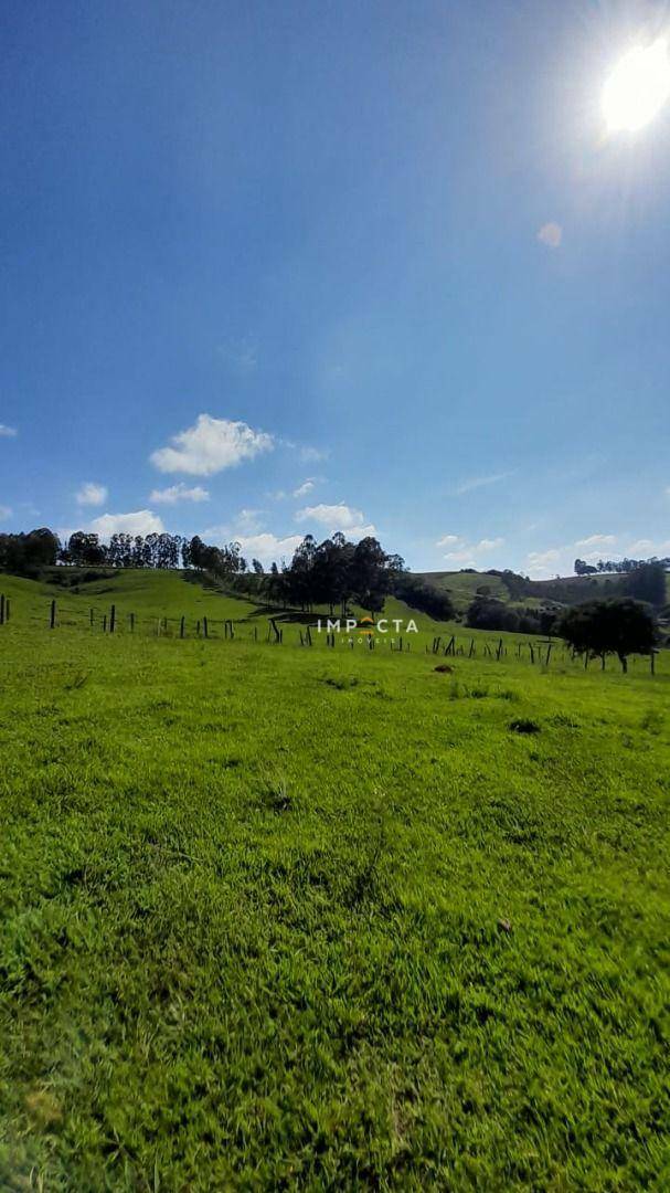 Terreno à venda, 10000M2 - Foto 3