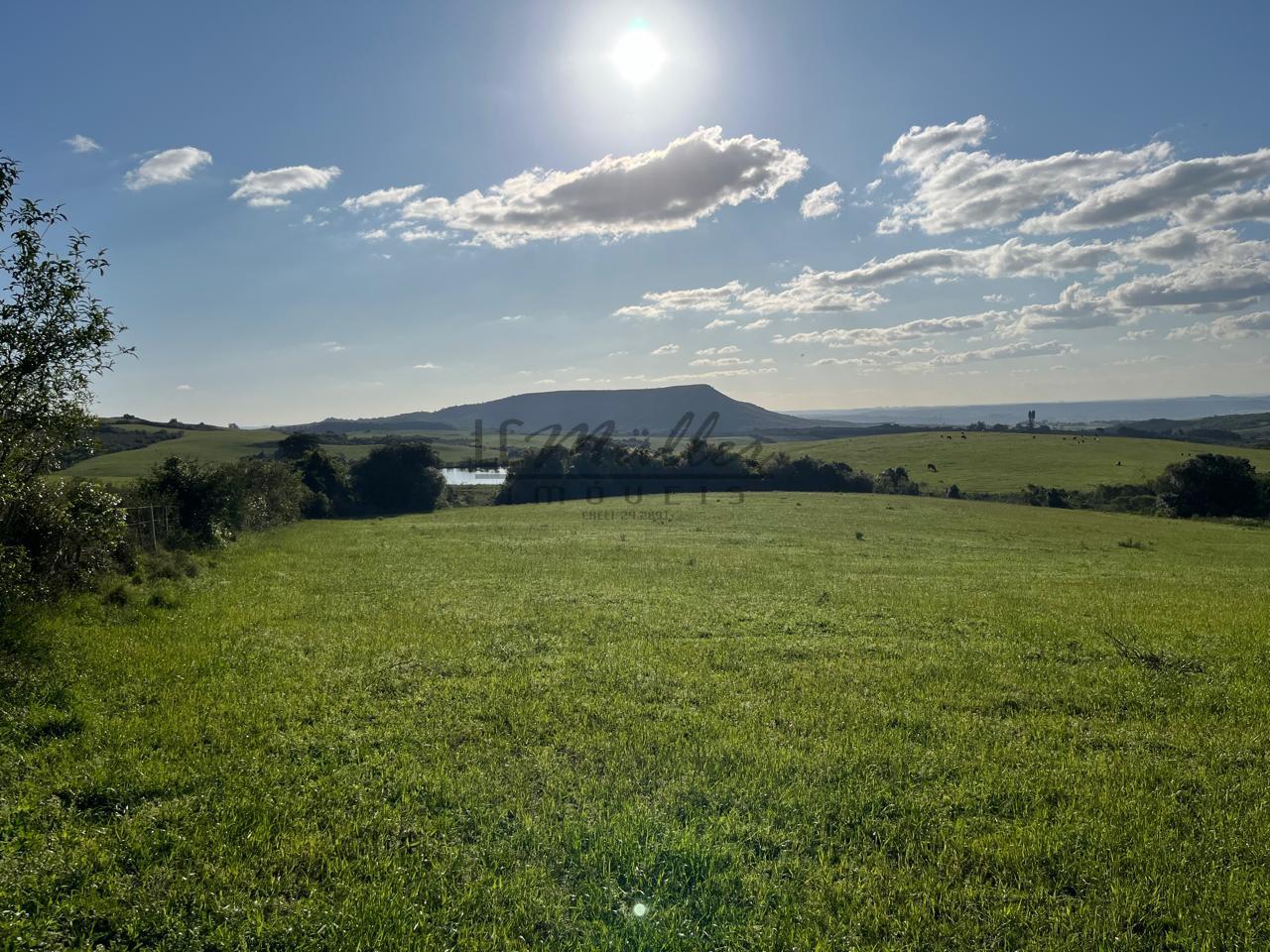 Fazenda à venda, 900m² - Foto 27