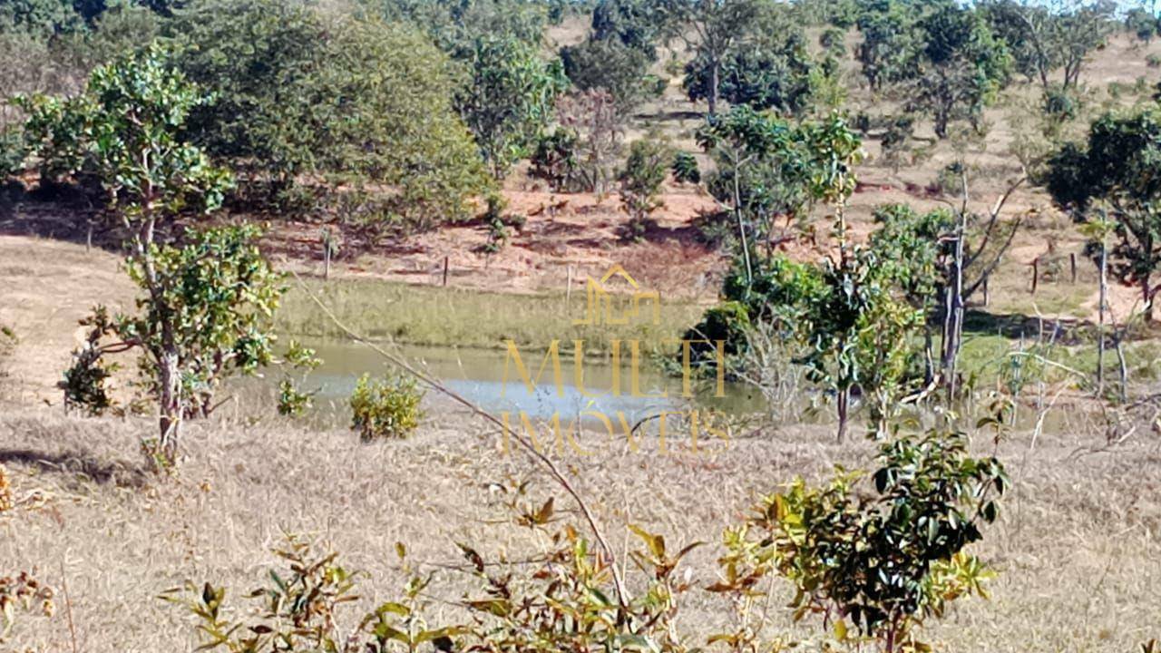 Fazenda à venda, 2420000M2 - Foto 4