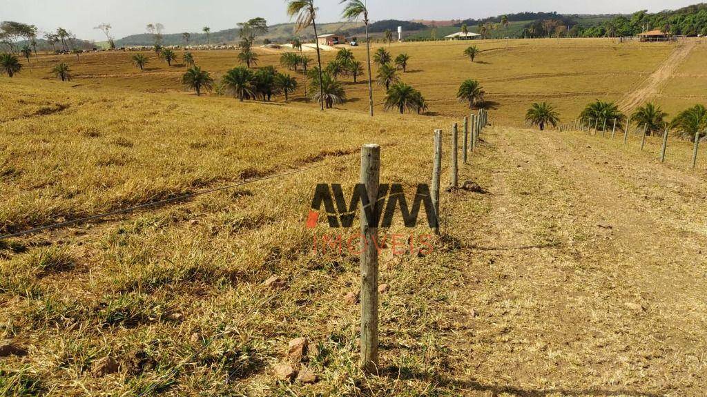 Fazenda à venda, 726000M2 - Foto 3