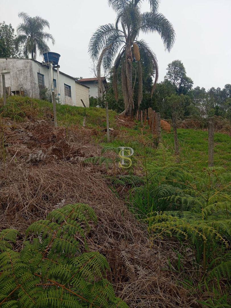 Terreno à venda, 300M2 - Foto 8