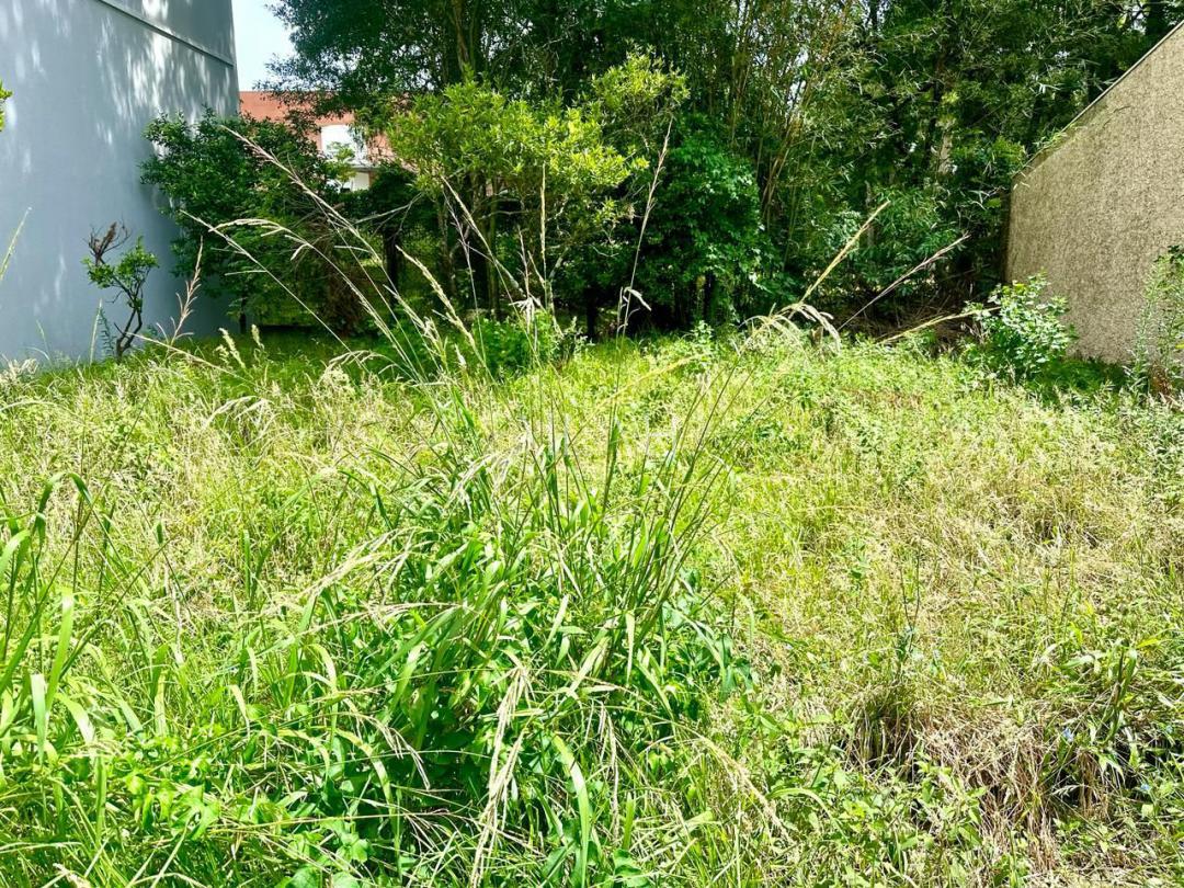 Terreno à venda, 334m² - Foto 1