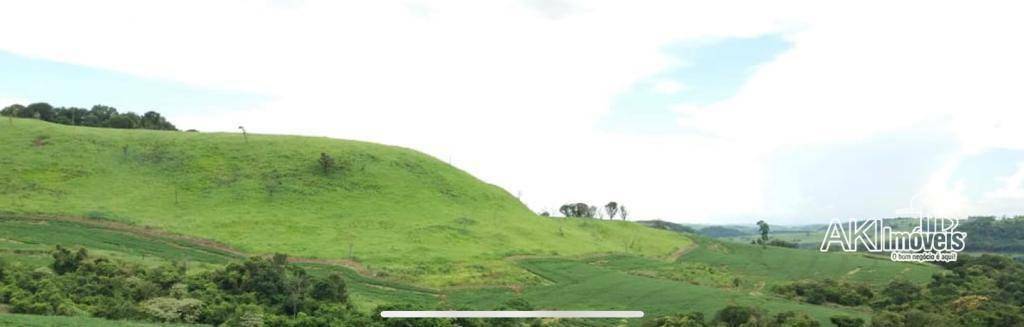 Fazenda à venda com 1 quarto, 2819300M2 - Foto 8