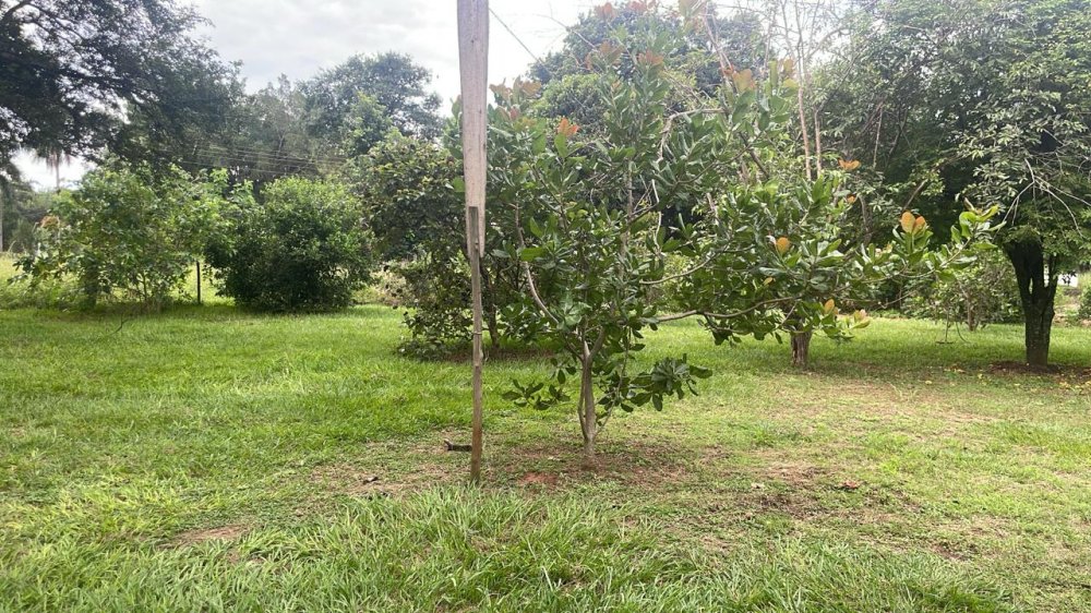 Fazenda à venda com 3 quartos, 290m² - Foto 12