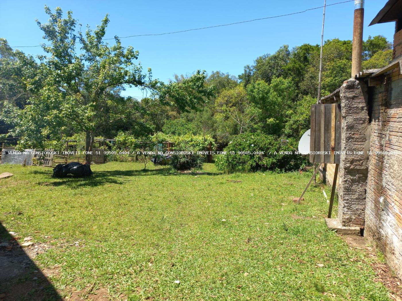 Fazenda à venda com 5 quartos, 20000m² - Foto 13