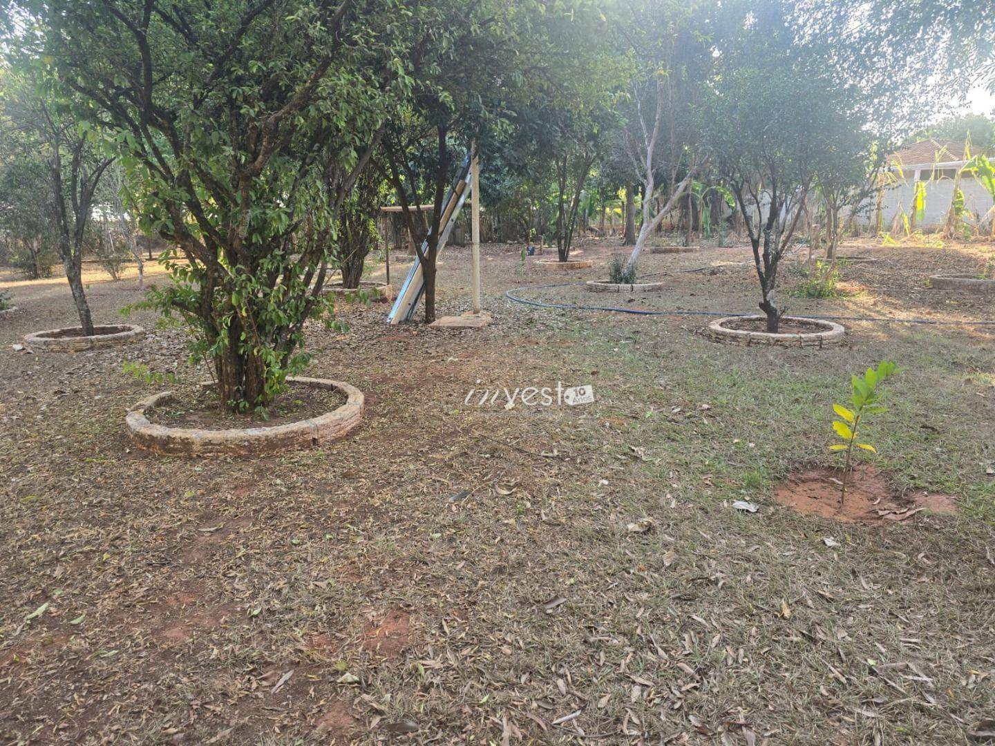 Chácara à venda com 3 quartos, 5000M2 - Foto 9