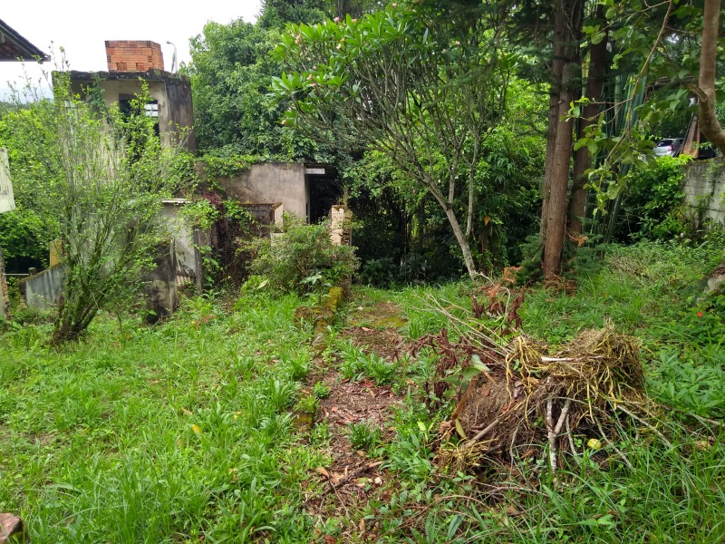 Terreno à venda, 800 - Foto 6