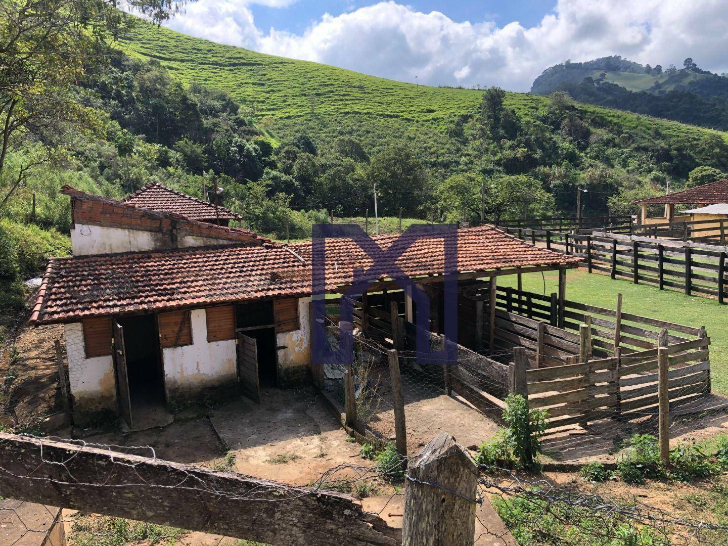 Sítio à venda com 5 quartos, 60500M2 - Foto 36