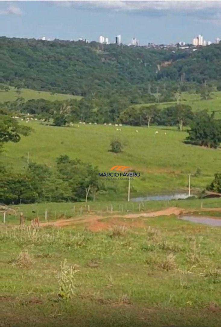 Fazenda, 307 hectares - Foto 2