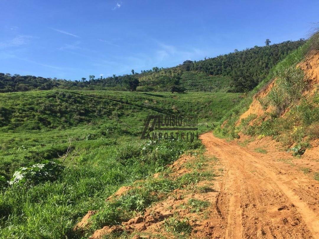 Fazenda à venda, 5469200M2 - Foto 50