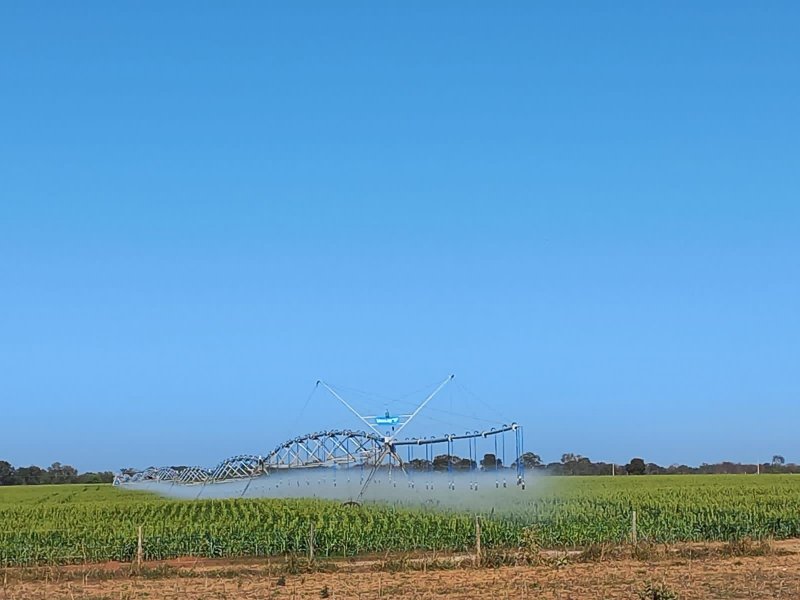 Fazenda à venda, 1580m² - Foto 2