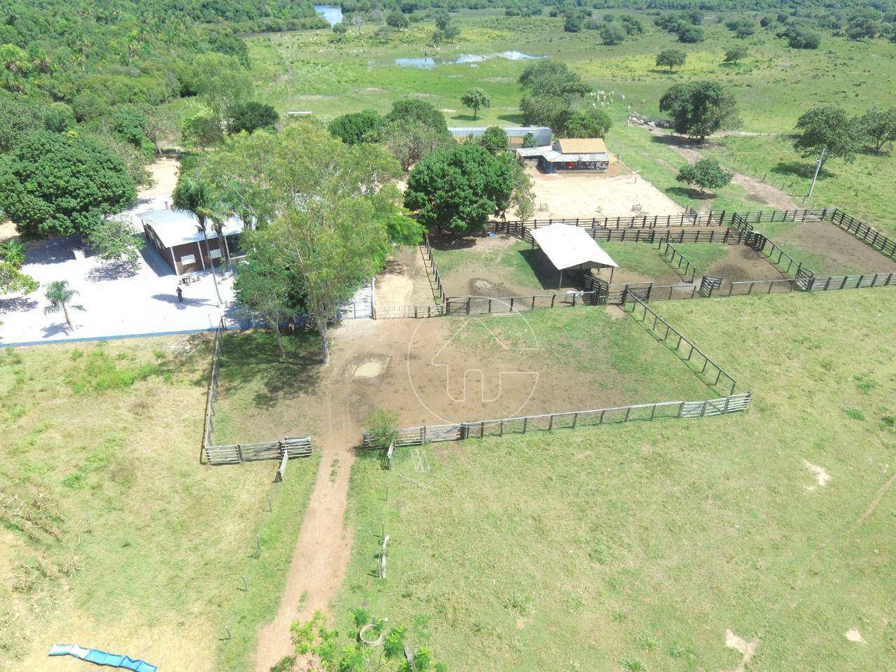 Fazenda à venda, 8800000M2 - Foto 6