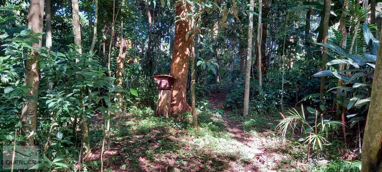 Terreno à venda, 1600m² - Foto 11