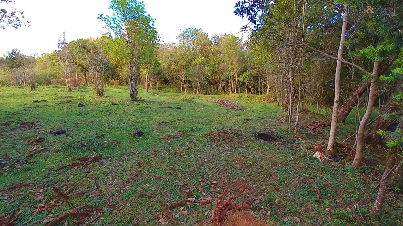 Chácara, 3 hectares - Foto 5