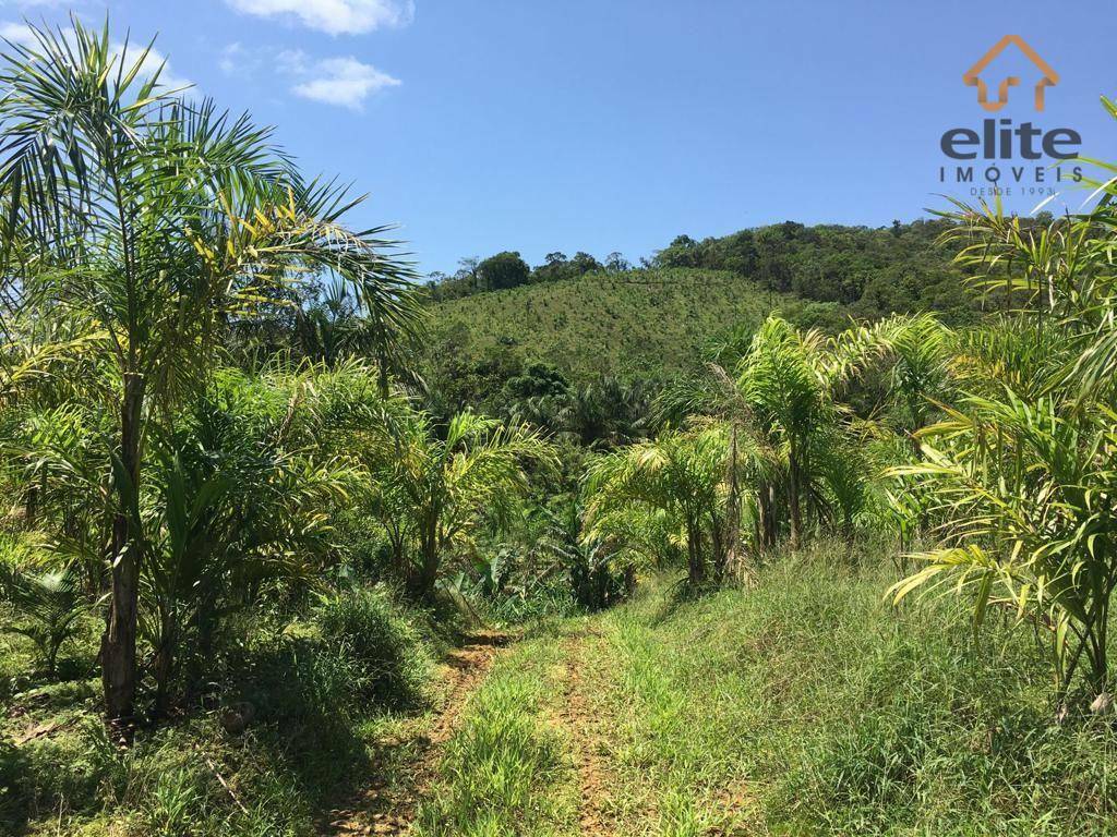 Fazenda à venda com 5 quartos, 4822600M2 - Foto 19