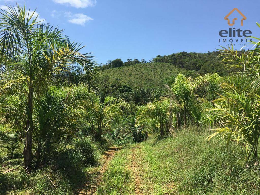 Fazenda à venda, 4822600M2 - Foto 19