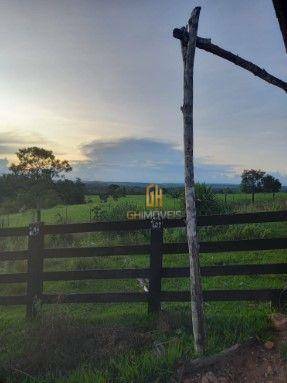 Fazenda à venda com 3 quartos, 7160000M2 - Foto 12