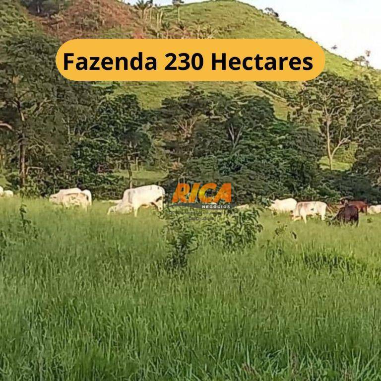 Fazenda à venda, 2300000M2 - Foto 1