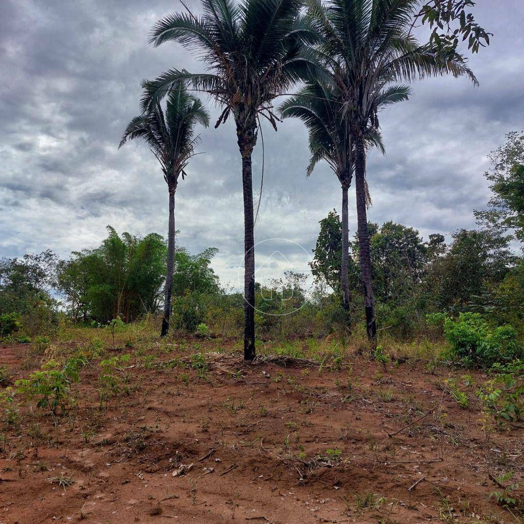 Fazenda-Sítio-Chácara, 174 hectares - Foto 2