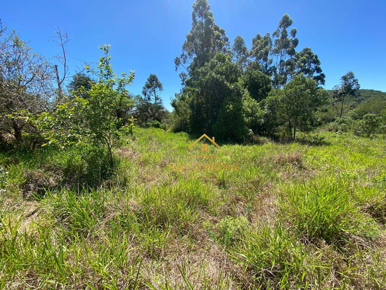 Loteamento e Condomínio, 2640 m² - Foto 2