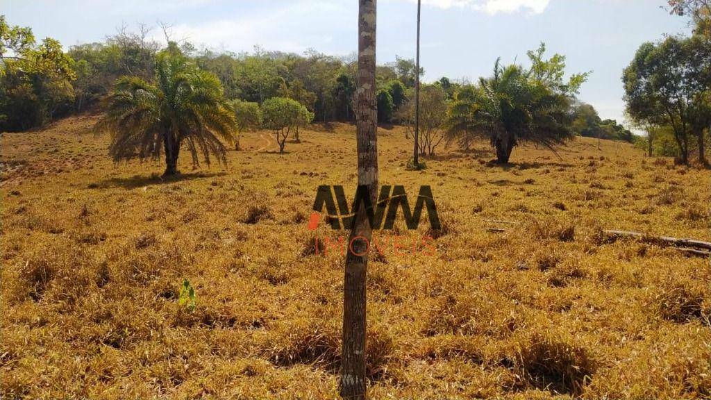 Fazenda à venda, 726000M2 - Foto 33