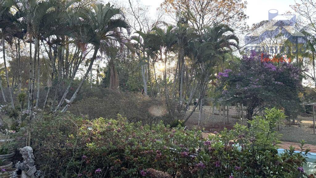 Sítio, 4 hectares - Foto 15