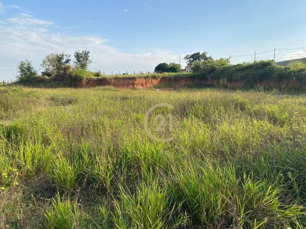 Terreno à venda, 748M2 - Foto 6