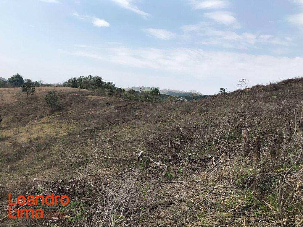 Terreno, 4 hectares - Foto 12