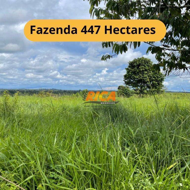 Fazenda-Sítio-Chácara, 447 hectares - Foto 1