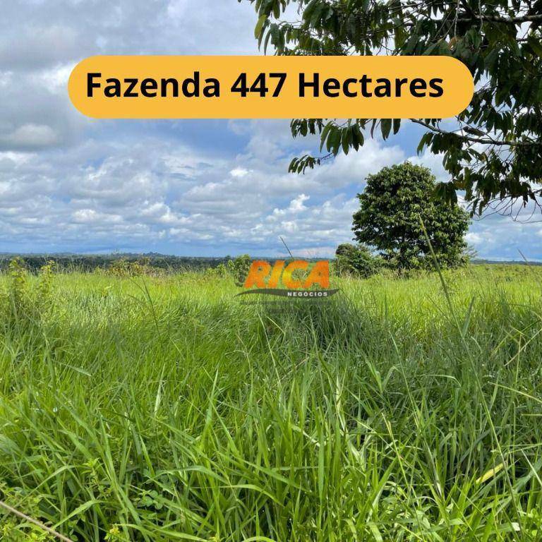 Fazenda à venda, 4470000M2 - Foto 1