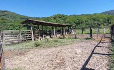 Fazenda à venda com 3 quartos, 232m² - Foto 5