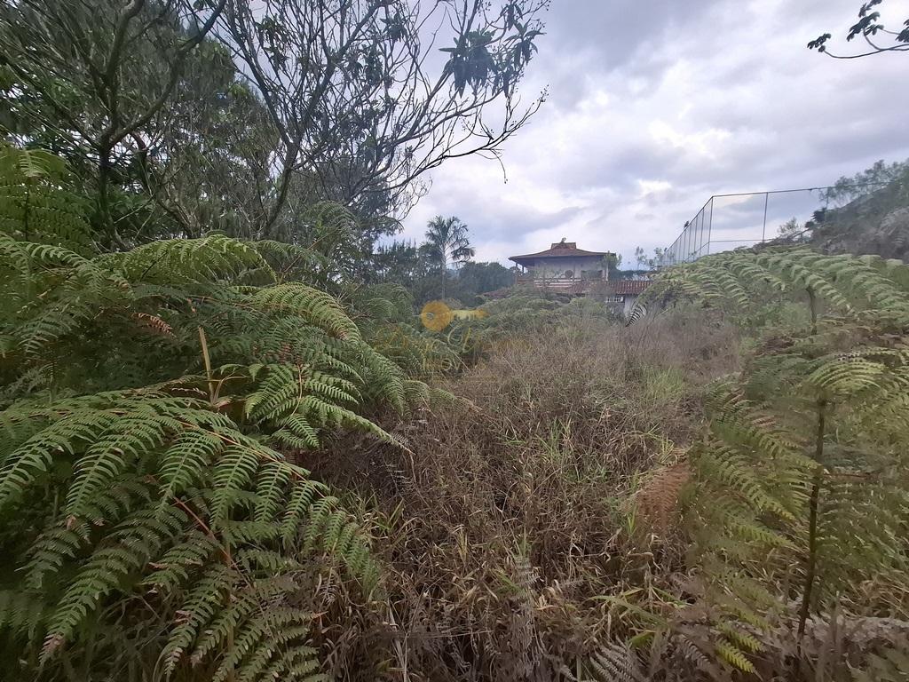 Terreno à venda, 1050m² - Foto 7