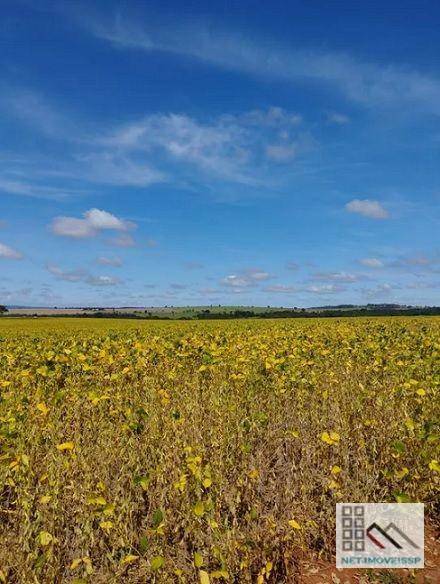 Fazenda à venda com 5 quartos, 500m² - Foto 5