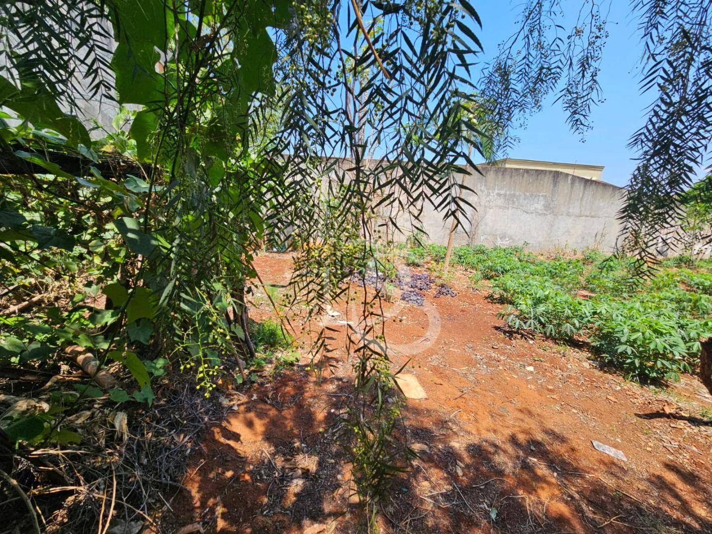 Terreno, 350 m² - Foto 4