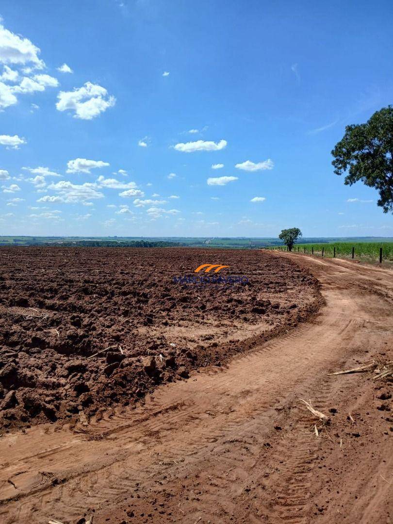 Sítio, 75 hectares - Foto 2