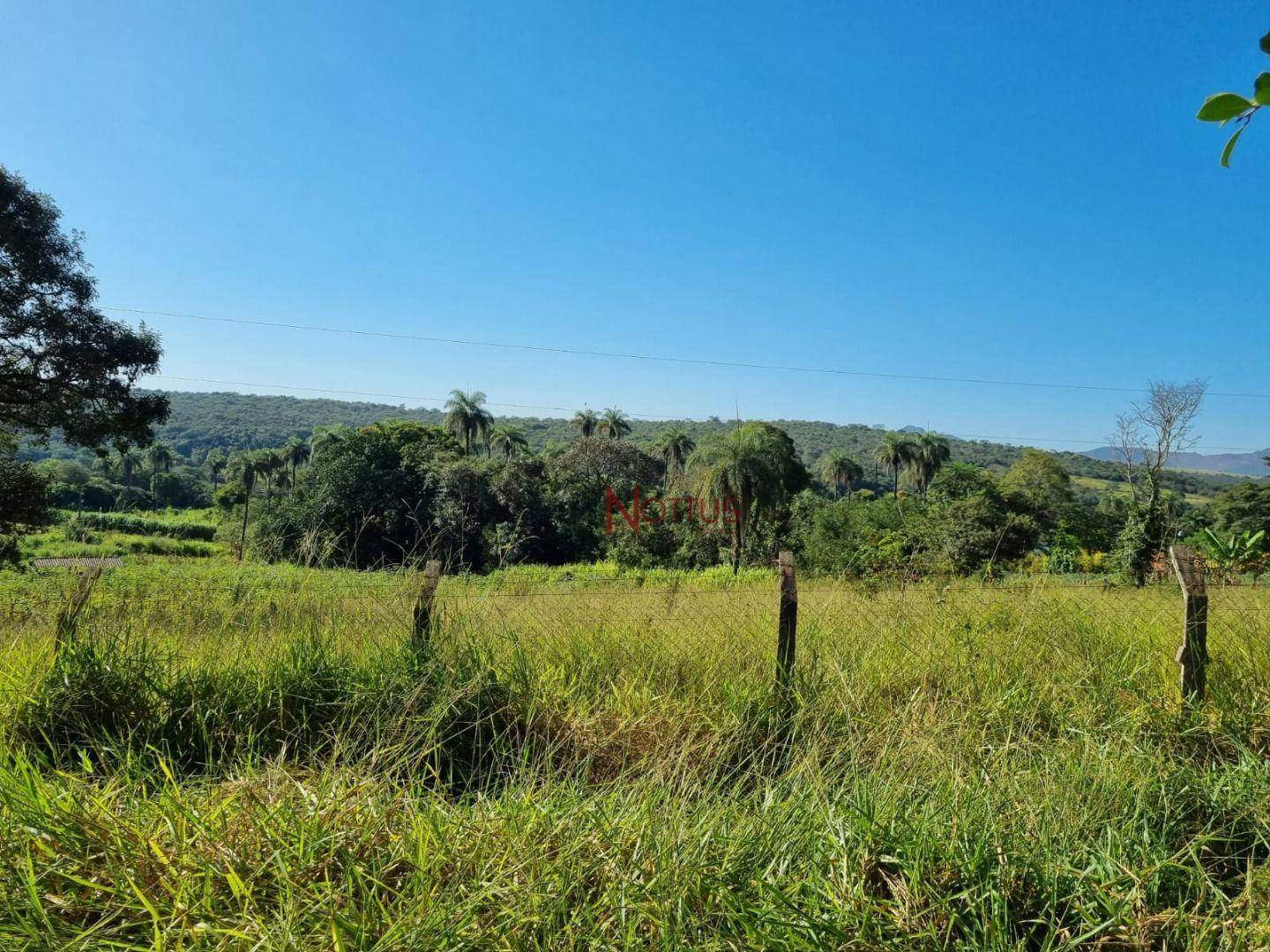 Terreno à venda, 1300M2 - Foto 3