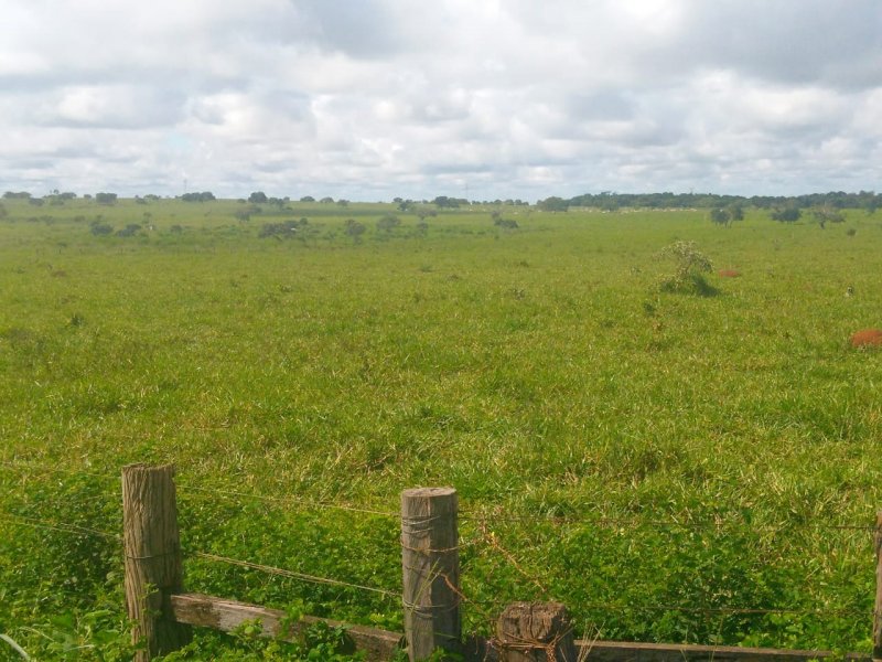 Fazenda à venda, 4007m² - Foto 6