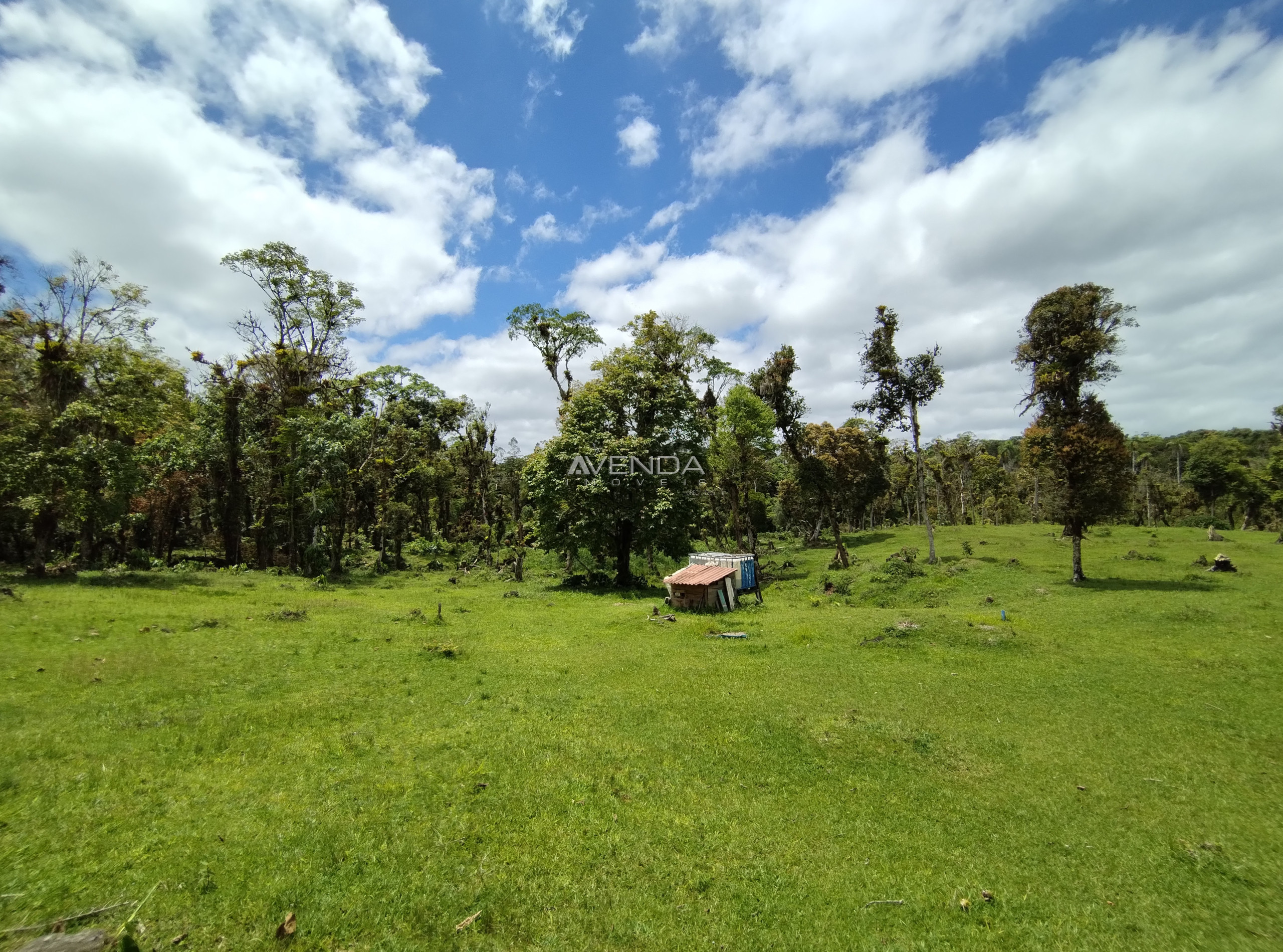 Fazenda à venda com 6 quartos, 208036m² - Foto 14