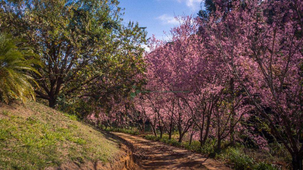 Loteamento e Condomínio à venda, 300M2 - Foto 6