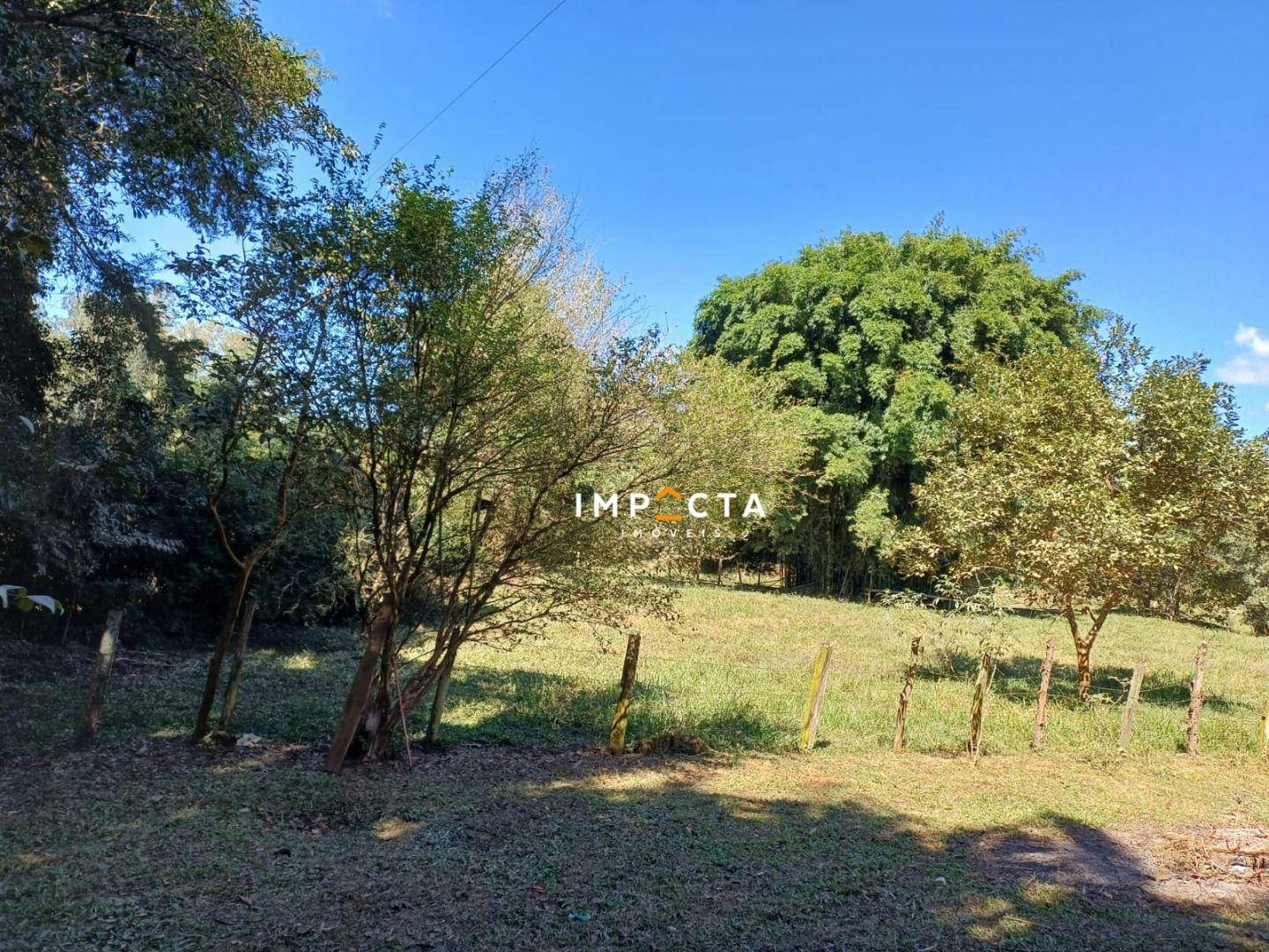 Chácara à venda com 2 quartos, 10500M2 - Foto 14