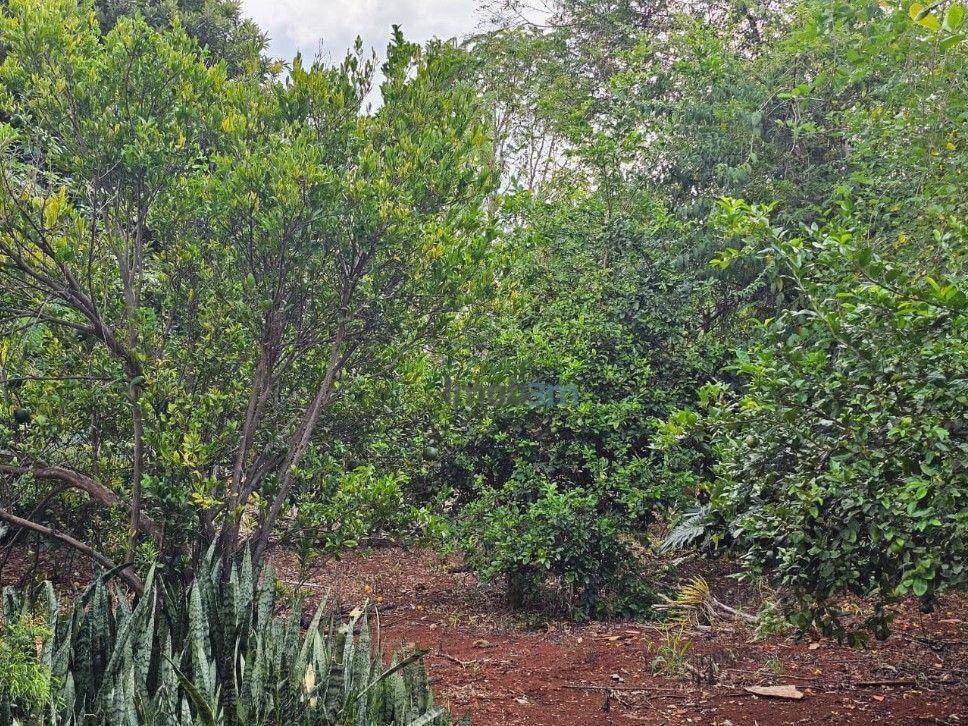 Chácara à venda com 2 quartos, 200m² - Foto 24